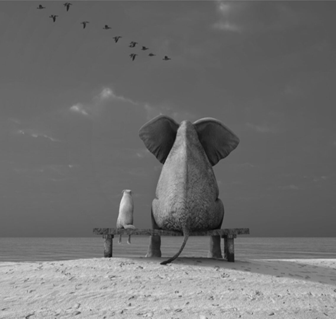 A dog and an elephant seating on a bench by the beach