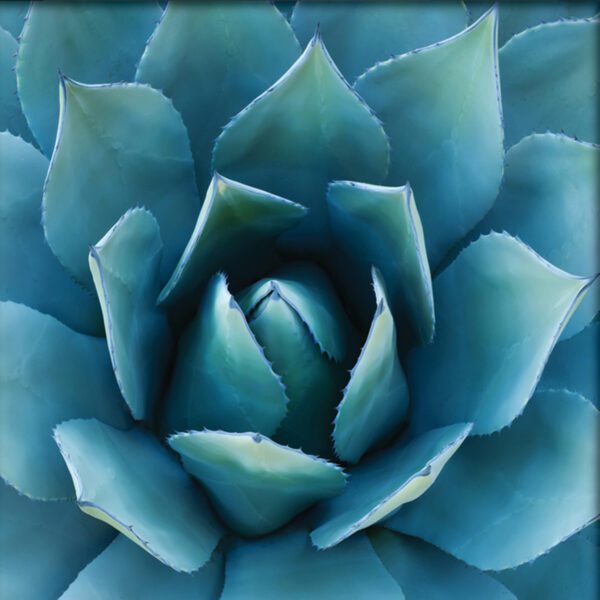 A blue and green flower