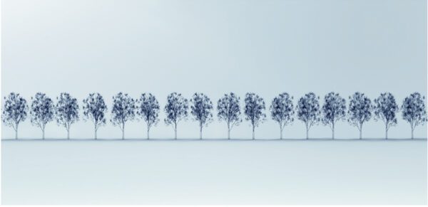A row of blue trees