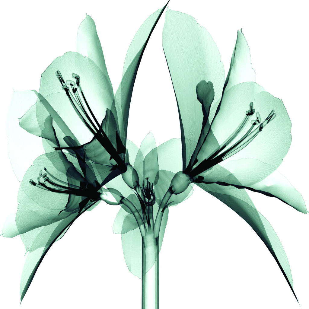 A modern painting of a teal flower